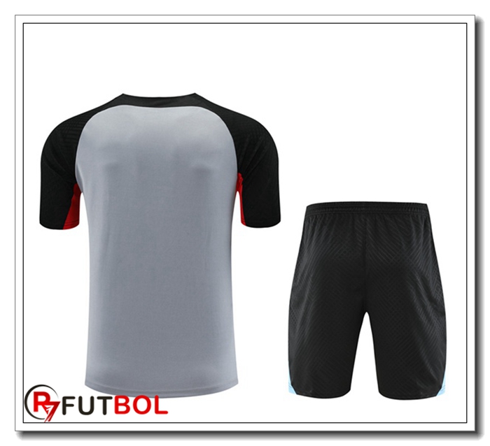 Comprar Camiseta Entrenamiento Fc Barcelona Cortos Gris